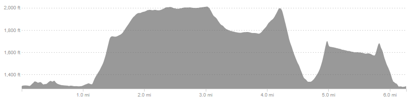 The Raven 10K Elevation Profile