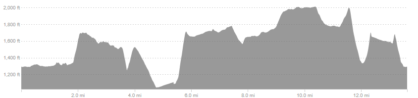 The Raven Half Marathon Elevation Profile